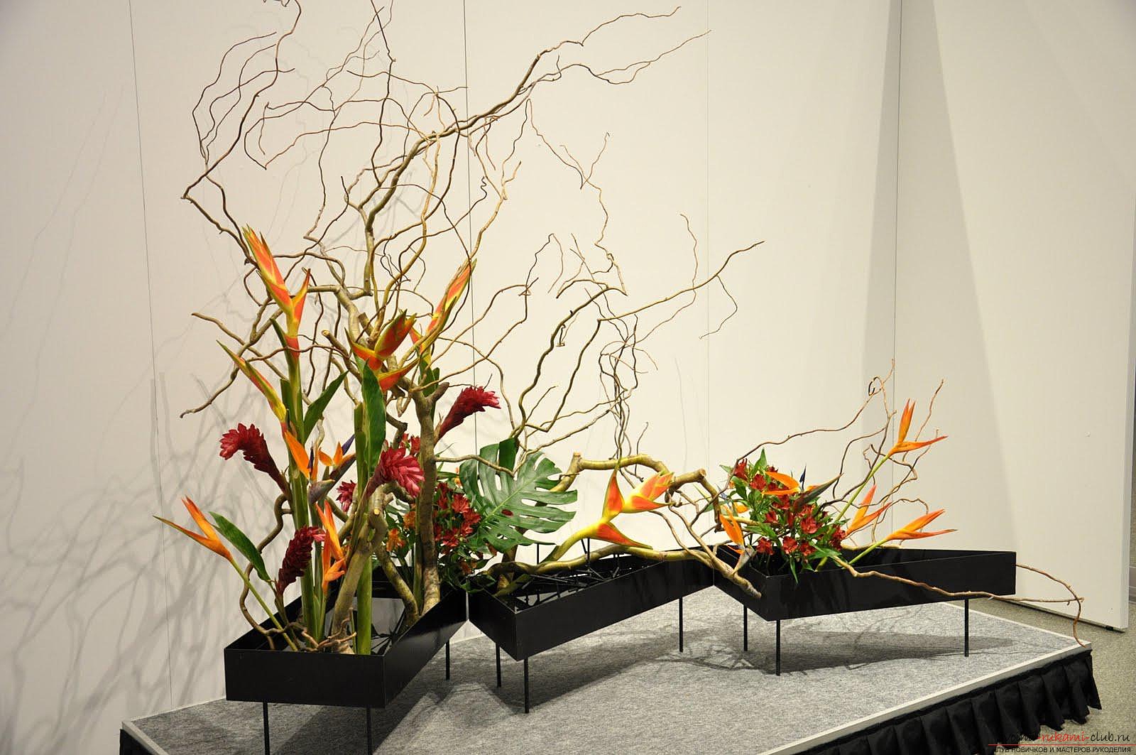 How to make a beautiful flower arrangement? - Ikebana with my own hands. Create a beautiful composition .. Photo # 2