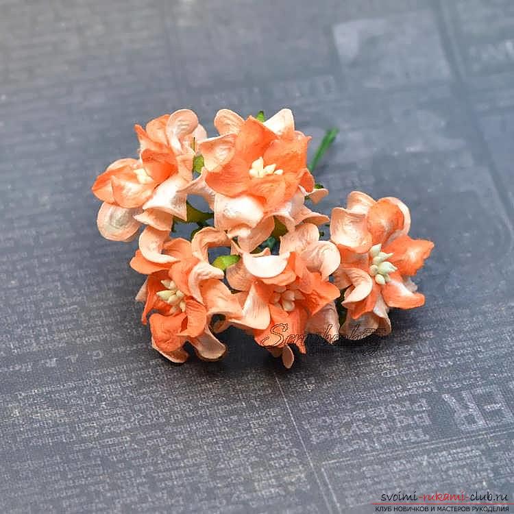 Bloemen van gardenia in scrapbooking. Afbeelding №3