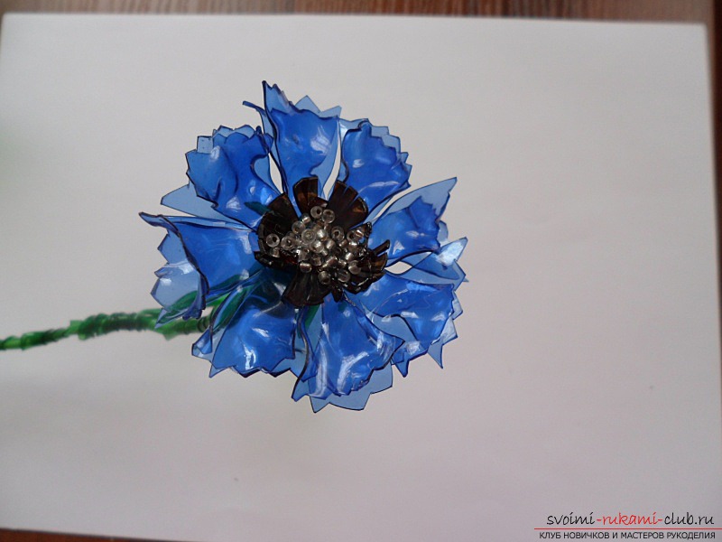 way to make flowers from plastic bottles. Photo №8