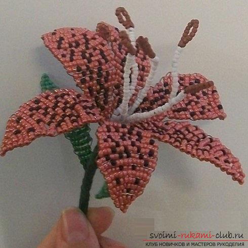 Free master classes for weaving tiger and white lilies from beads with photos. Photo №1