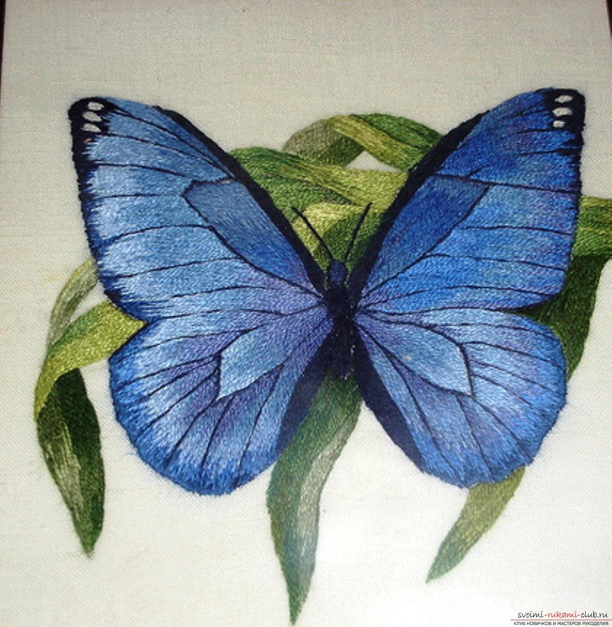 Flow charts embroidered butterfly. Photo №1