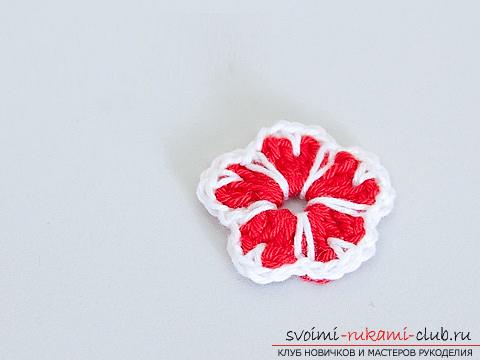 How to knit crochet flowers, tips and master classes with a photo .. Photo # 16