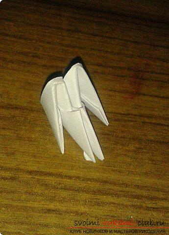 How to make a small swan out of modules. Photo №6