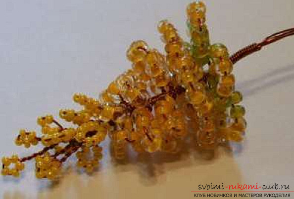 Acacia made from beads. Photo number 12