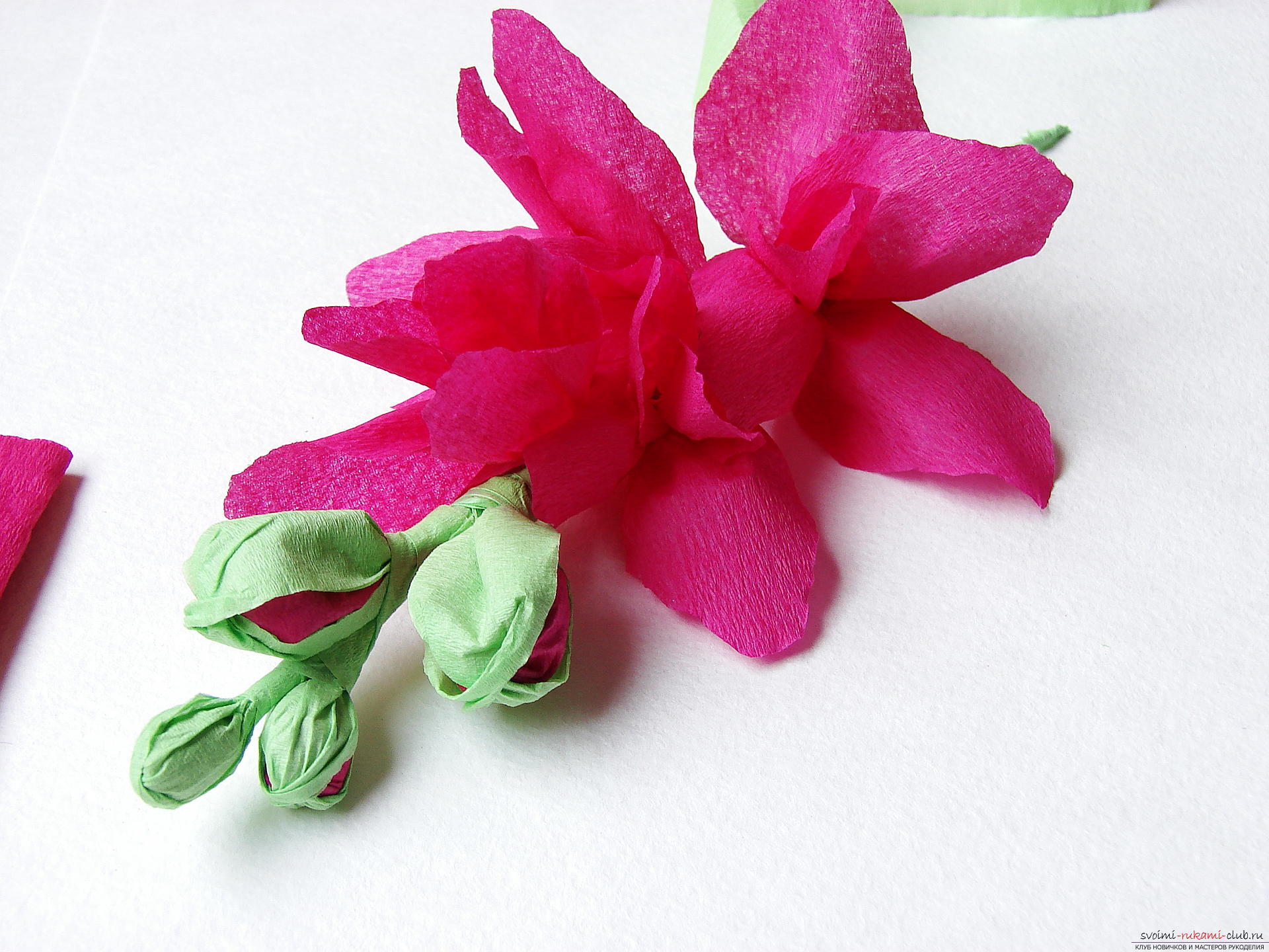 This master class will teach you how to make gladioli flowers from paper with your own hands. Picture # 25