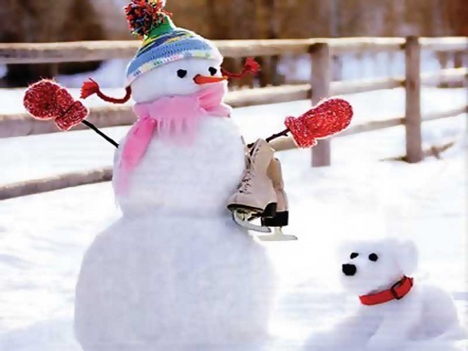 Themed snowman figure skater