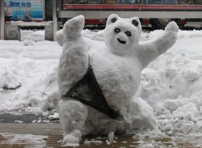 Снежна мечка