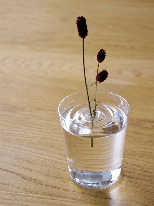 flower nozzles - vases