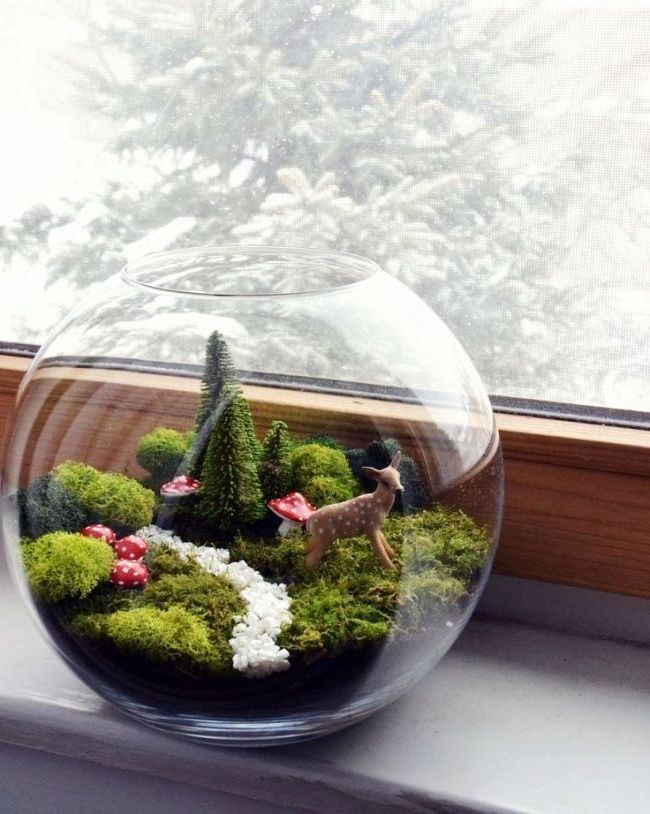 florarium with moss - a corner of the forest