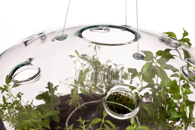 lamp for plants in the interior