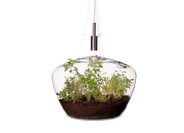 лампа для рослин в інтер'єрі