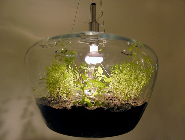 світильник - лампа для рослин