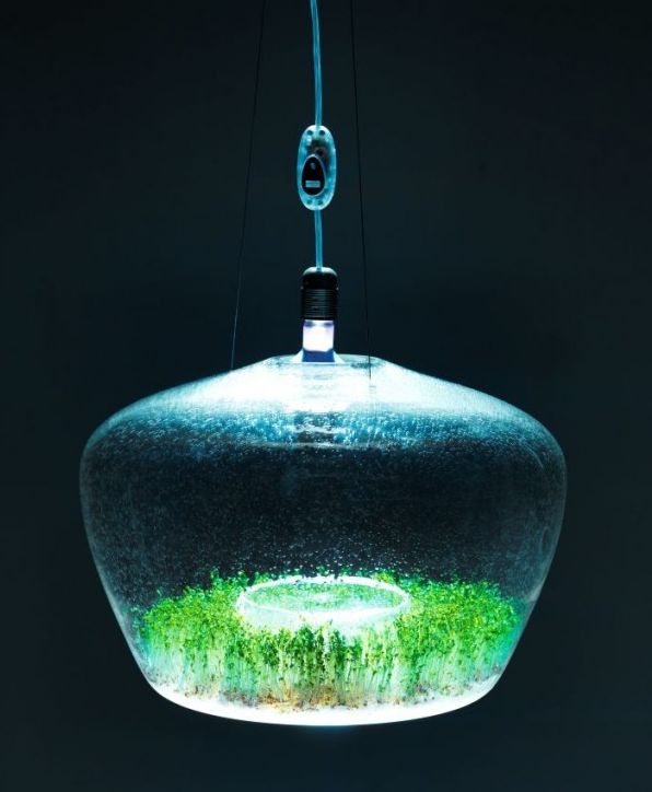 greenhouse lamp