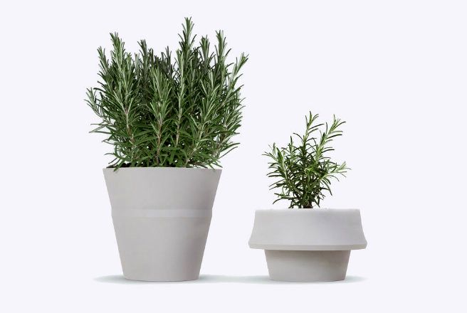 Fold Pot - pots that grow with plants