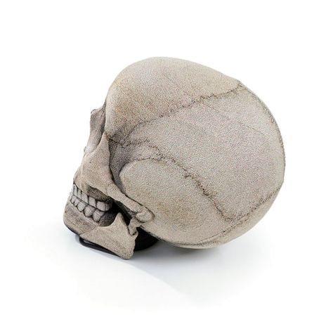 large skull chair from chic sin design