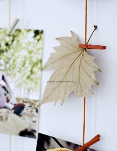 ideas of autumn decor
