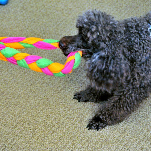 Woven fleece toy for dog-6
