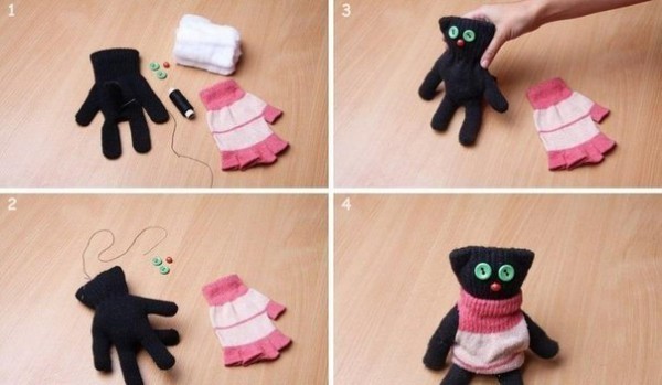 Cat with gloves