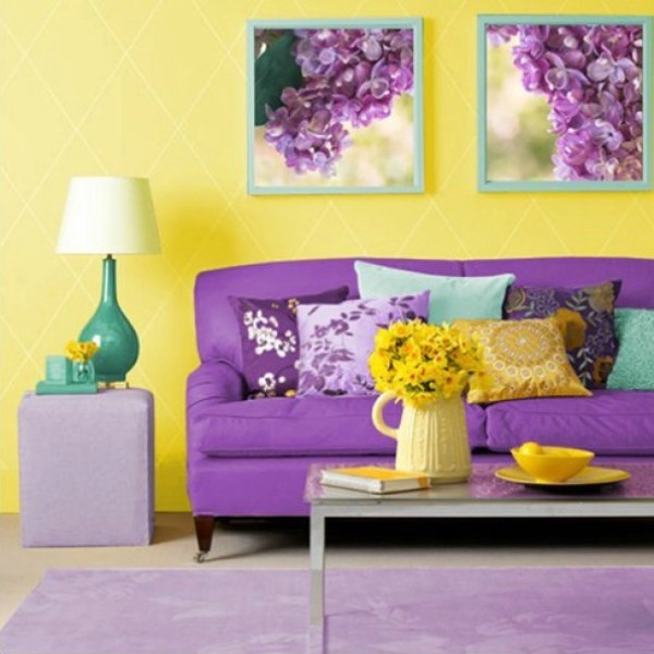 Yellow and purple color in the interior