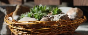 how to weave a basket of vines