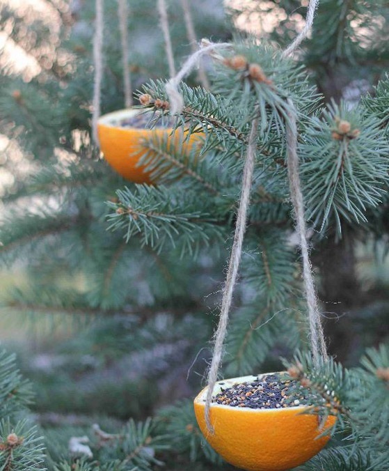How to make a bird feeder with your own hands.