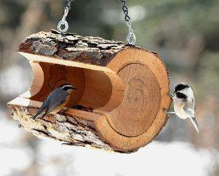 How to make a bird feeder with your own hands.