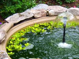 How to make a pond in the country with their own hands