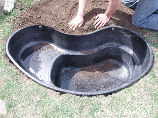 How to make a pond in the country with their own hands