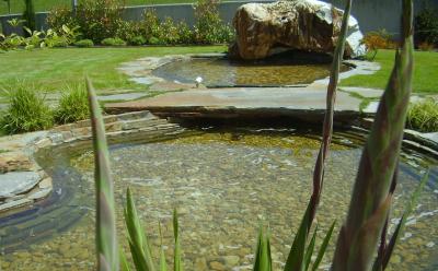 How to make a pond in the country with their own hands
