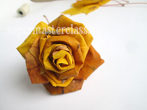 Róże z liści klonu: zdjęcie