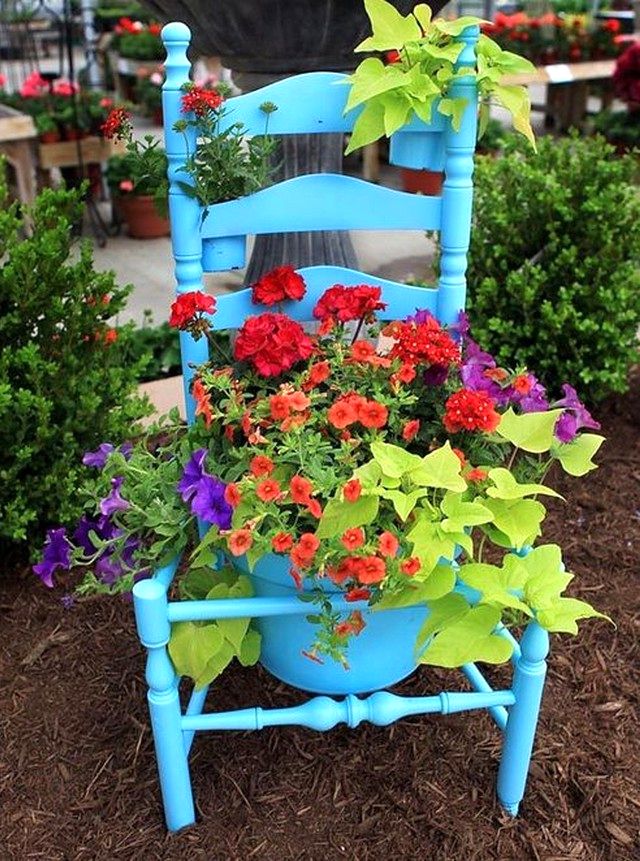 flower bed of an old chair