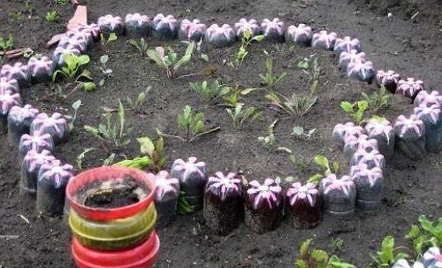 Flowerbeds of plastic bottles with their own hands