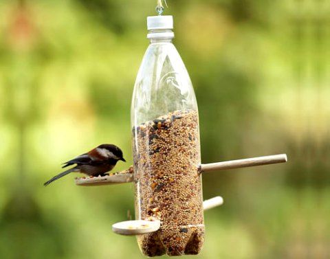 Vogelvoeder voor vogels uit plastic flessen