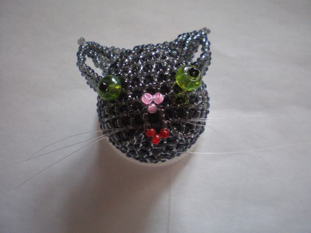 Cat with beads-13