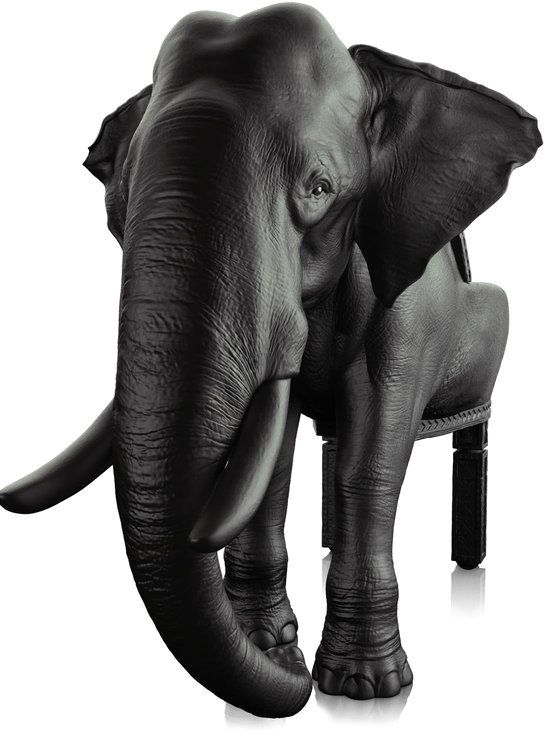 elephant chair