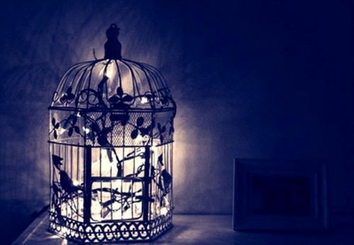Vintage lamp from a bird cage with your own hands