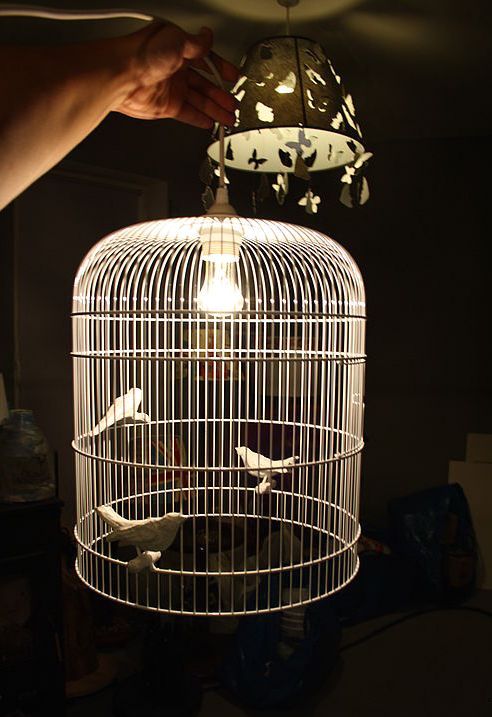 Αρχικό φανάρι από ένα κλουβί πουλιών με τα χέρια σας