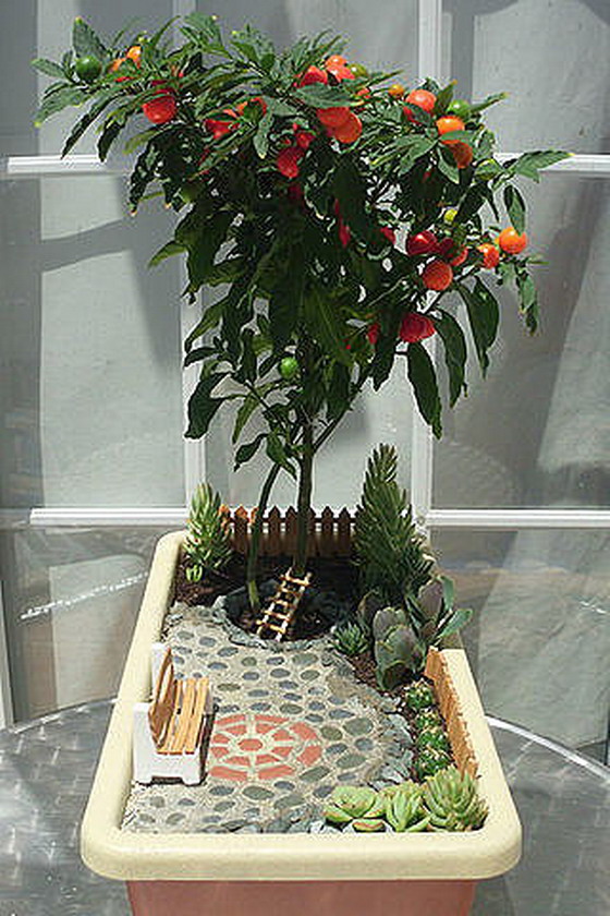 Miniature garden with a tree with fruits