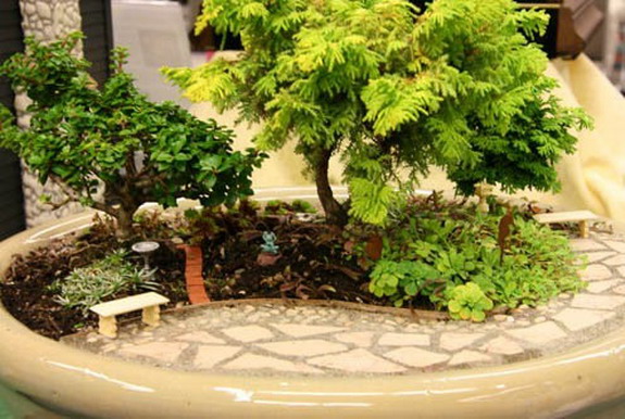 Miniature Garden - imitation of a corner of a real garden