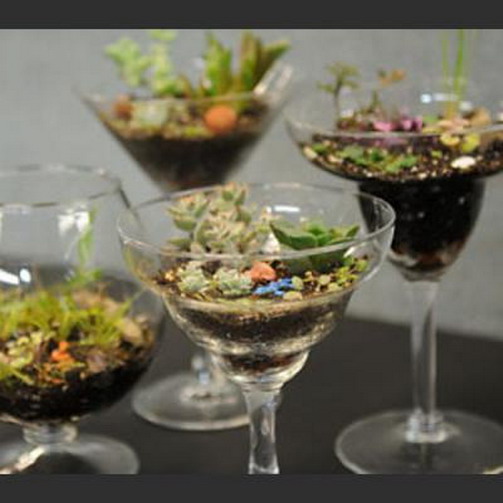 Miniature Gardens in Glasses