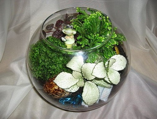 Miniature Garden - Outdoor Florarium