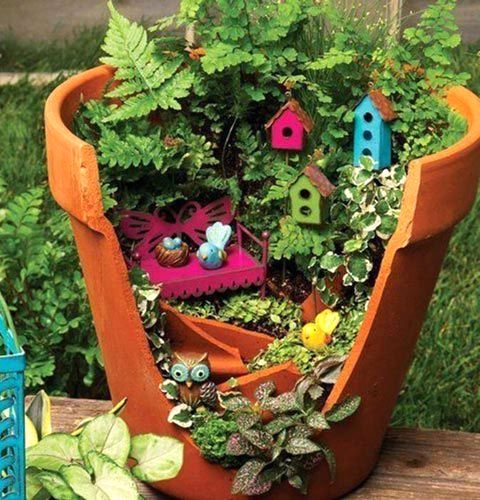 miniature garden in a broken pot