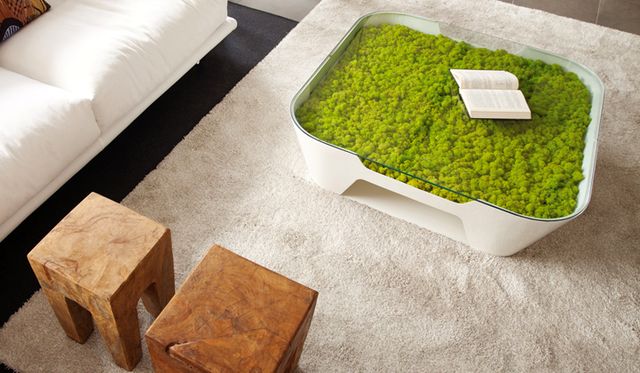 Moss Design coffee table with decorative moss