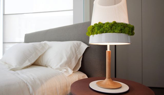decorative moss in a table lamp