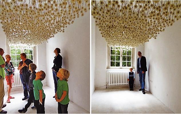 installation - dried dandelions on the ceiling