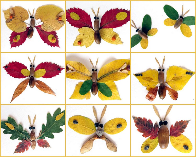 Řemesla s dětmi z podzimní dary přírody: vážky a motýli