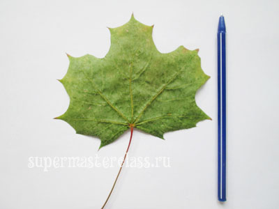 Осенний квиллинг: мастер-класс по листьям