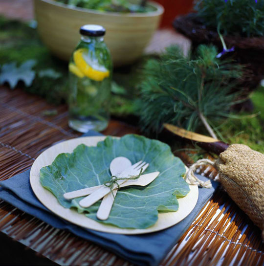 leaves instead of a napkin