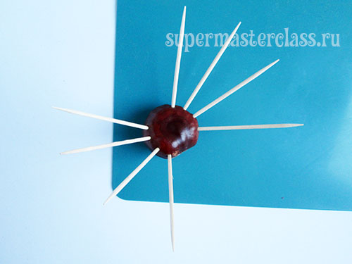 Chestnut Spider: DIY handicraft: photo