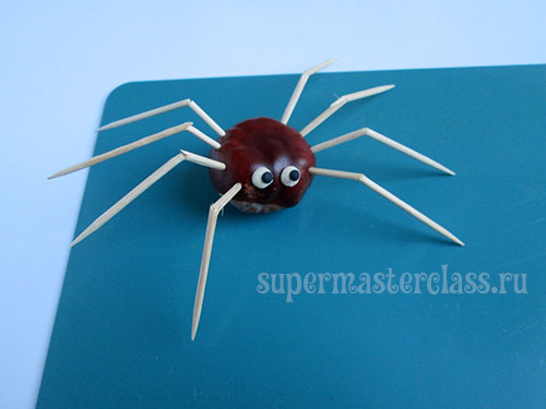 Spider chestnuts do it yourself: photo